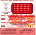 Red Light Therapy Belt, Infrared Light Therapy for Body, Wearable Wrap with Timer for Back Shoulder Waist Muscle Pain Relief, Improve Joint Inflammation, Red Light Therapy for Body - Image 2